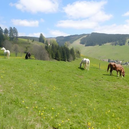 Ferienwohnung Bergahorn Todtnauberg Dış mekan fotoğraf
